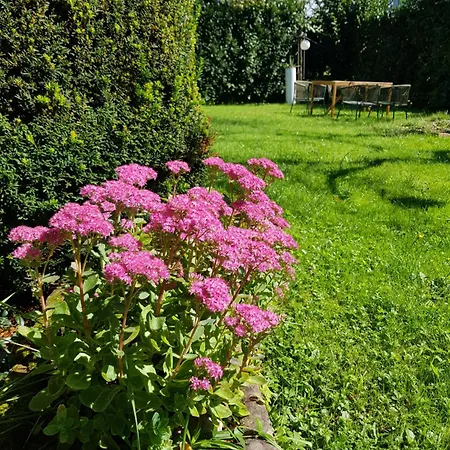 'dasbrenners' Apartment Gross-Umstadt